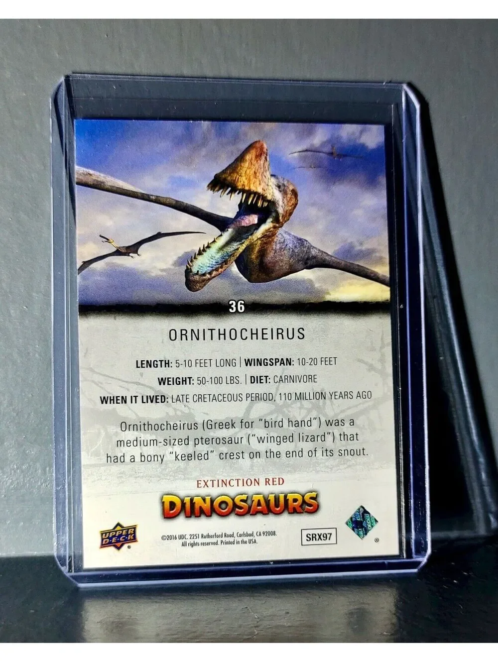 2015 Upper Deck Dinosaurs Ornithocheirus Extinction Red Parallel #36 Card